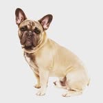 Ronnie - @_ronnie_stocker - Instagram
