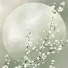 قصص رون - @ronstory345 - TikTok