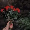 قصص رون - @story.ron - TikTok