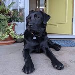 Ron Straight - @ron.straight - Instagram
