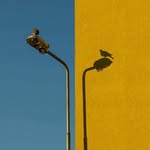 Mårten Rönström - @ronstrommarten - Instagram
