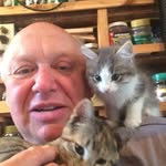 @ronstrom_ - Instagram