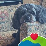 Ron Stroupe - @ronstroupe - Instagram