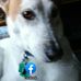 Ronald Stubbs - Facebook