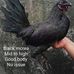 Ronald Subia - Facebook