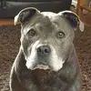 Ron Sumner - @ron.sumner - TikTok
