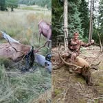 Ron Swift - @ron.swift.967 - Instagram