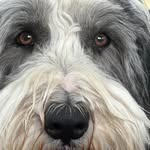 Ron Swift - @ronswift63 - Instagram