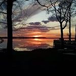 ron tefft - @ron4blinds - Instagram