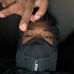 Ron Terrell - Facebook
