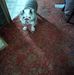 Ron Terry - Facebook