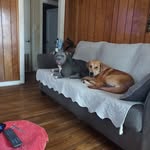 Ronald Thornhill - @detroitmichigan58 - Instagram