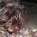 Ron Thorson - Facebook