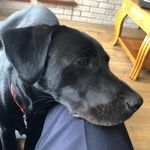 Ron Turk - @ronturk4 - Instagram