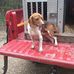 Ron Valley - Facebook