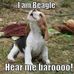 Ron Valley - Facebook