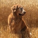 Ron Vance - @ron.vance.37 - Instagram