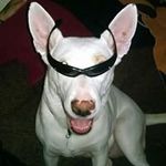 Ron Vance - @ron.vance1070 - Instagram