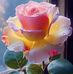 Ron Vasquez - Facebook