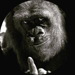 Ron Vaughan - @ronvaughan54 - Instagram