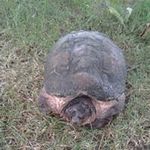 Ron Vinyard - @ron.vinyard - Instagram