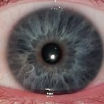 Ron Waters - @ron420waters - Instagram