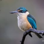 Ron Waters Photography - @ronwatersphotography - Instagram