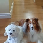 Ron Waterson - @ronwaterson - Instagram