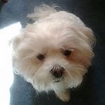 Ron Watters Sr. - @watterssr.ron - Instagram
