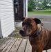 Ron Weeks - Facebook
