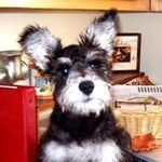 Ron Weeks - @rdweekssr - Instagram