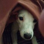 Ron Weeks - @ron.wicks.5209 - Instagram