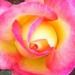 Ron Welch - @ronwelch3299 - Instagram