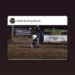 Ron Wetzel - @r67886770 - Instagram