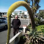 Ron Wheeldon - Facebook