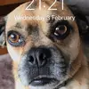 user3346586784477 - @canronwhittaker - TikTok