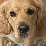 Ron Wight - @wight.ron - Instagram