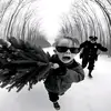 Ronny_Wight - @ronny_wight - TikTok
