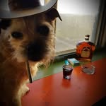 ron Wilcox - @ronwilcox46 - Instagram