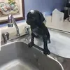 Ron Wilcox - @ron.wilcox8 - TikTok