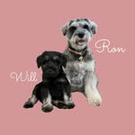 Ron&Will - @ron_schna0825 - Instagram