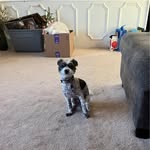 Ron Wing - @ron.wing - Instagram