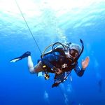 Ron Workman - @rbworkman - Instagram