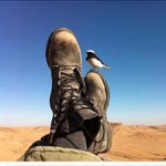 Ron Zuckerman - @ronzgallery - Instagram