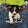 Ronald Duff - @ronald.duff - TikTok