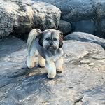 Rona Jones - @ronajones4 - Instagram