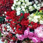 bituin marikit28 - @ronaortega28 - Instagram
