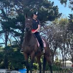 Rona Smith - @rona_ponies - Instagram