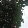 Rona Smith - @rona.smith79 - TikTok