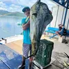 Ronald Abarca - @ronald.abarca80 - TikTok